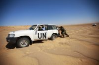 FN, skydda västsaharierna!