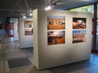 Fotoutställningen Västsahara väntar