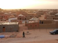 Västsahara – ockuperat, bestulet och bortglömt