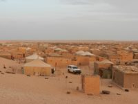 Från handel till internationell lag: EU borde reda ut sina relationer med Marocko och Västsahara